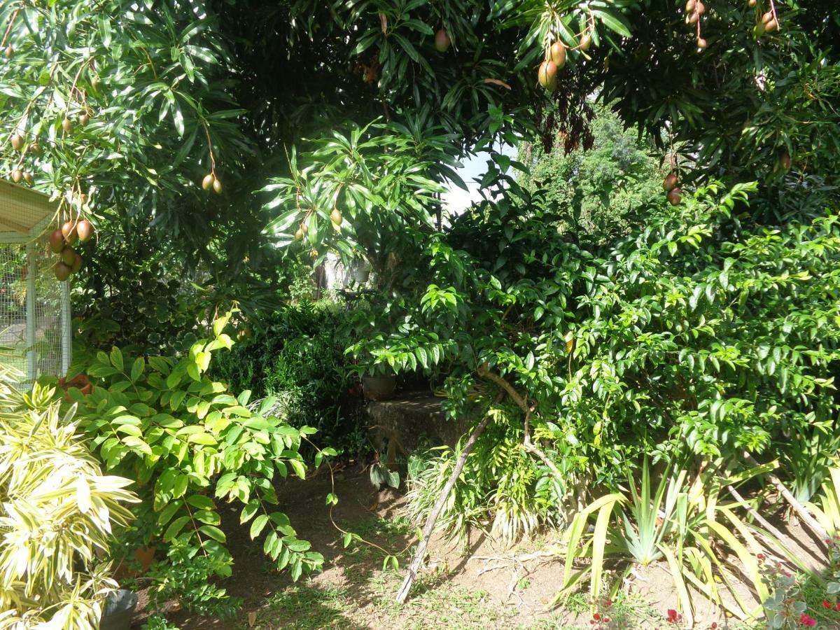 Gite Malou Deshaies Buitenkant foto